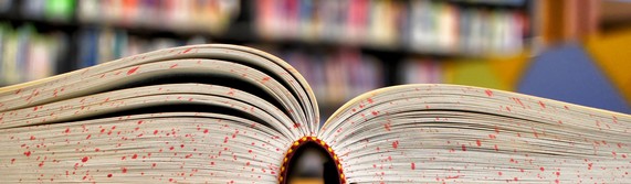 livre education scolaire ecole bibliotheque images photos gratuites