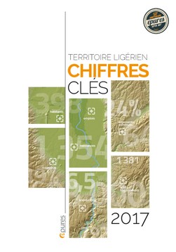 chiffres cles 2017 epub