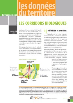 corridors epub