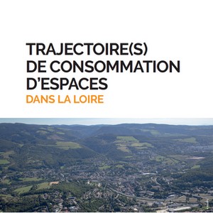 Trajectoire(s) de consommation d'espaces dans la Loire